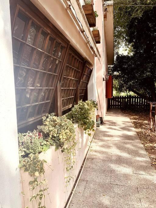 Raffinatezza Rustica Nella Campagna Veneziana Apartman Canton  Kültér fotó