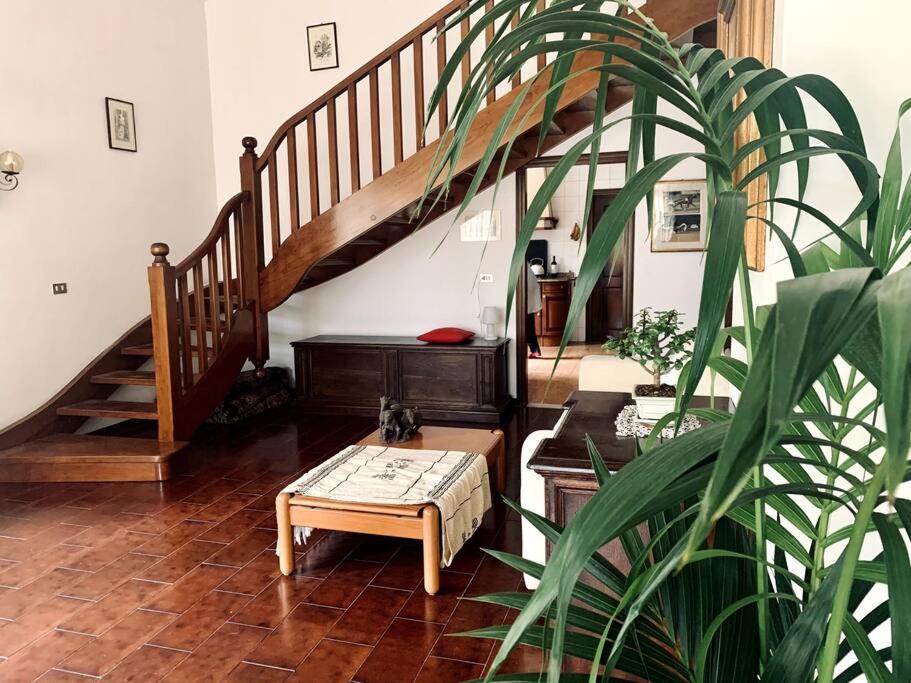 Raffinatezza Rustica Nella Campagna Veneziana Apartman Canton  Kültér fotó
