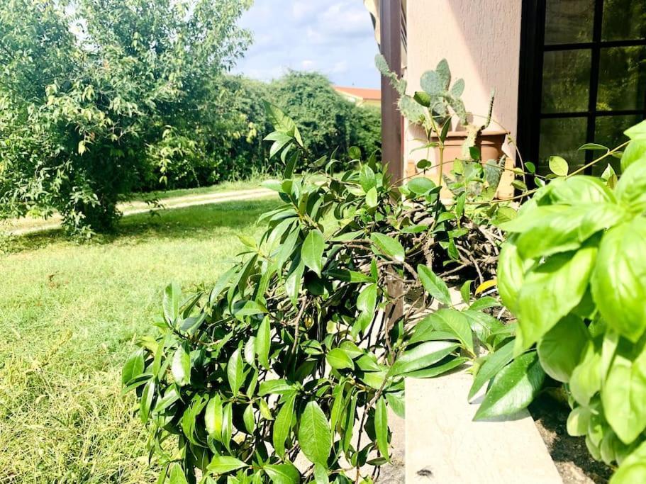 Raffinatezza Rustica Nella Campagna Veneziana Apartman Canton  Kültér fotó